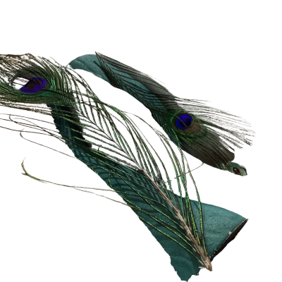Peacocks With Real Feathers