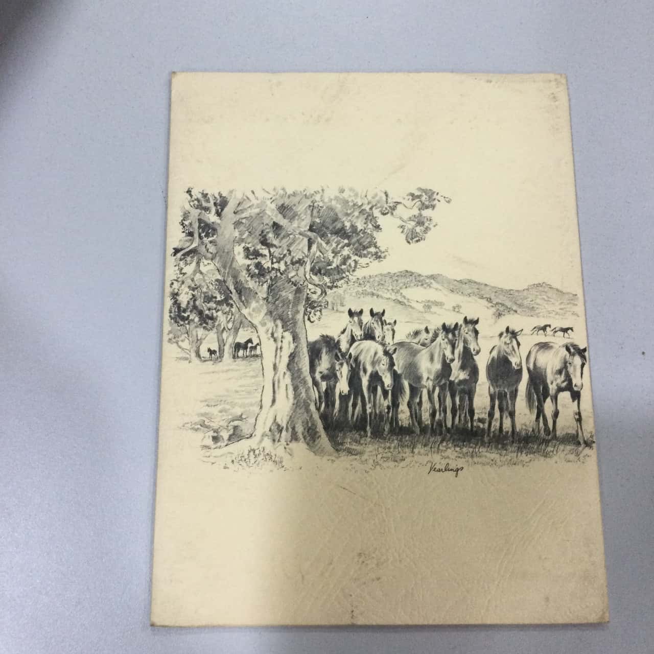 Australia , A Wide Country, 6 x Prints By Cedric Emanuel(s)