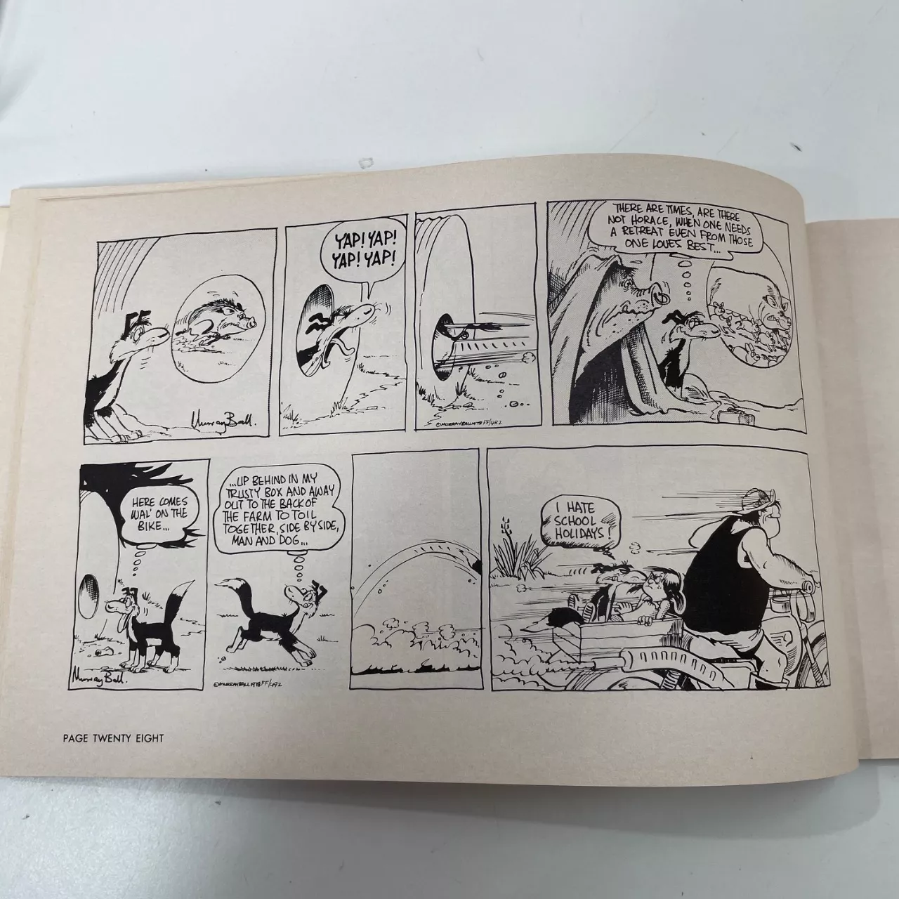 Image Tester