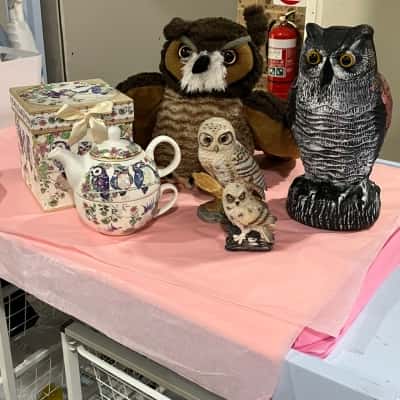 OWLS