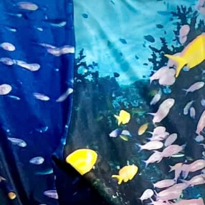 Blackmilk Fish Aquarium Design Leggins Size M