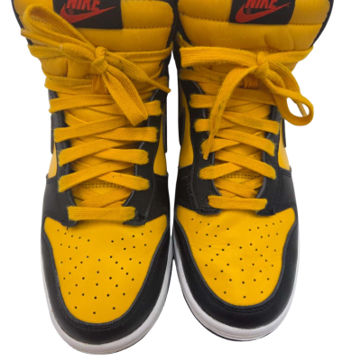 Nike Mens Dunks