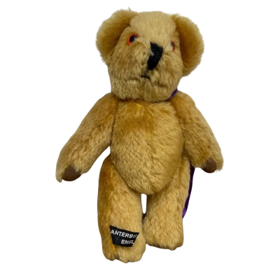 Canterbury Bears 9” Teddy Bear