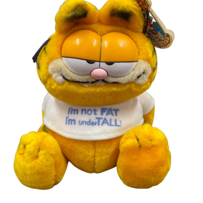 Vintage 1981 Garfield Plush (24cm) I'm Not Fat I'm Under