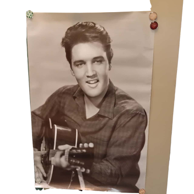 Elvis Poster