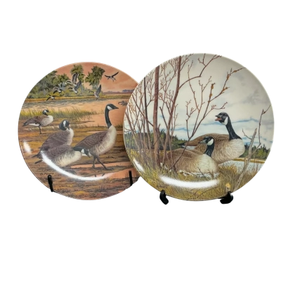 2x Donald Pentz “Wings Upon The Wind” Collectable Plates