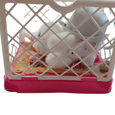 Zuru Pets Alive Mama Bunny 