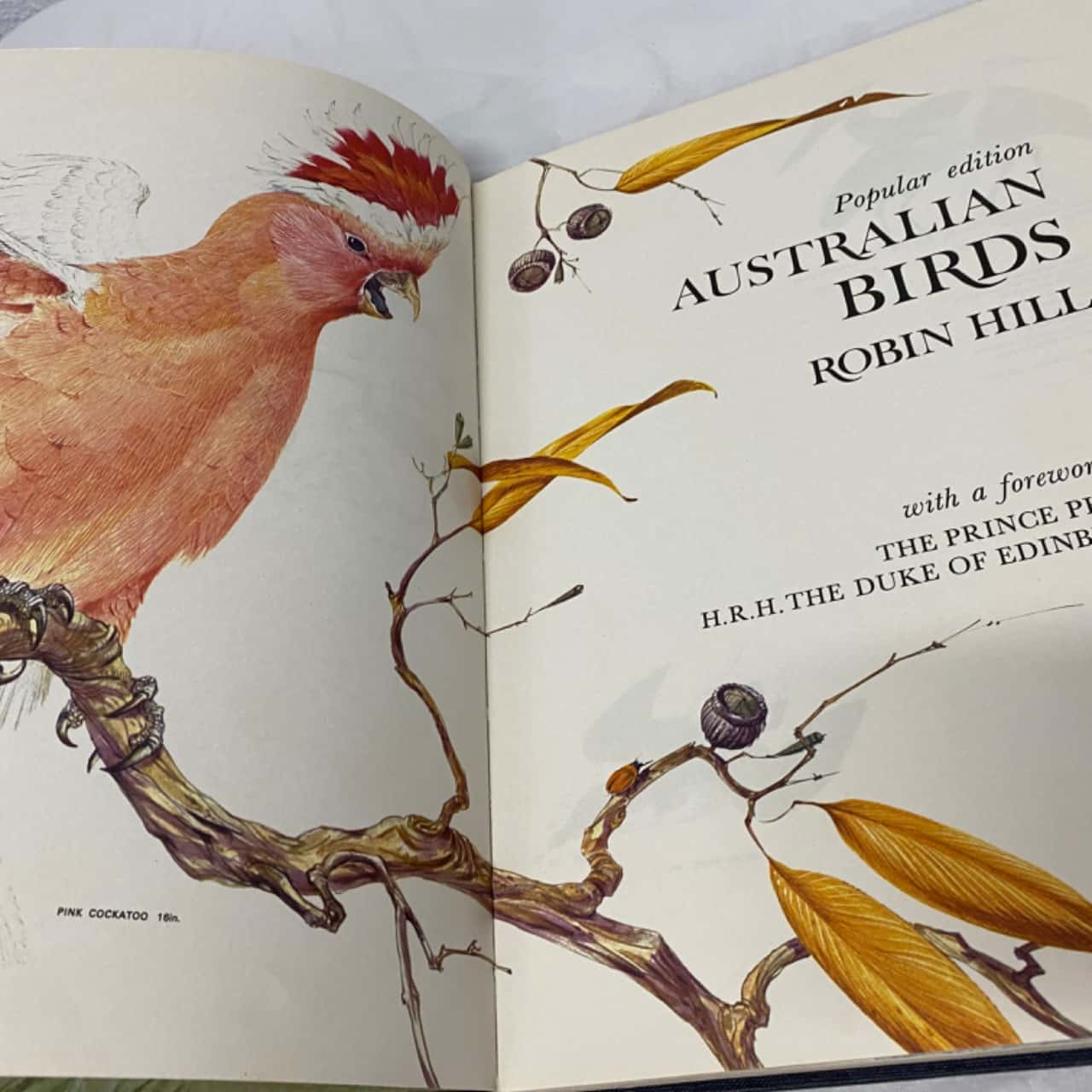 Australian Birds by Robin Hill popular edition