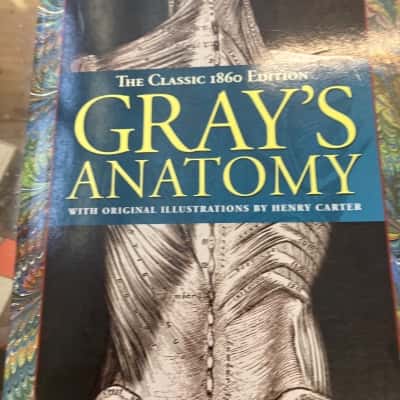 Gray’s Anatomy 