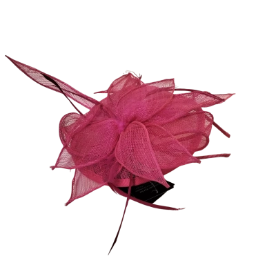 Fascinator from Myer. Hot Pink Pink  