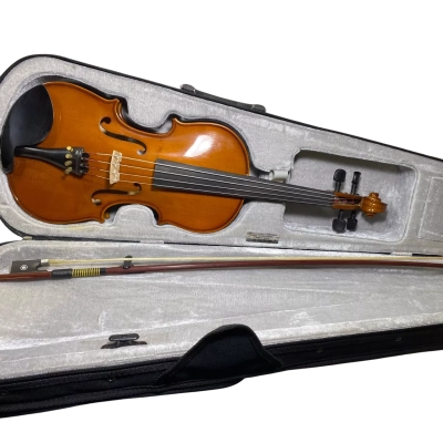 Joseph acoustic violin. It is housed in a standard plush-lined hardshell case alongside its bow and a container of Paganini violin rosin tucked into the upper accessory compartment.