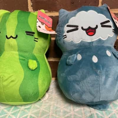 Kleptocats