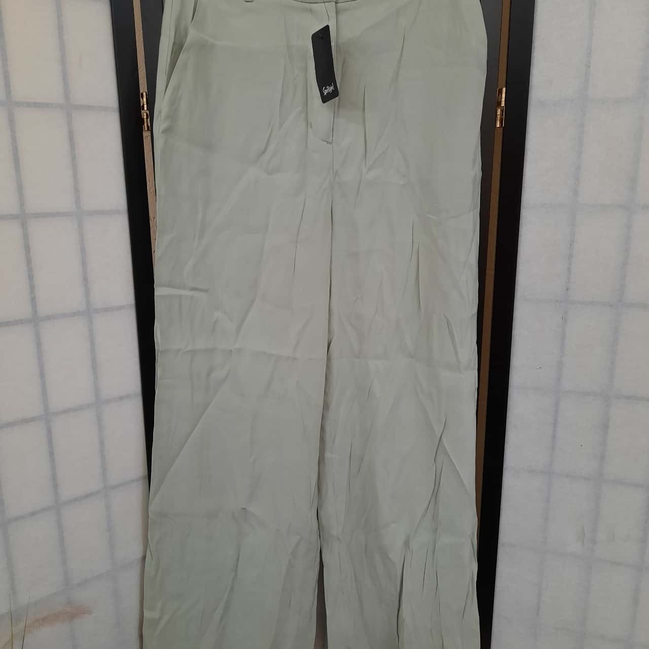 pale sage green pants BNWT