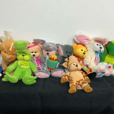 mystery twenty pack of Beanie kids 