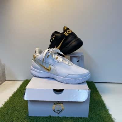 Nike Zoom Le Bron Nxxt Gen Ampd Equity black /white