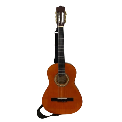 Ashton CG-34AM 3/4 Size Classical Guitar with a strap and Case 