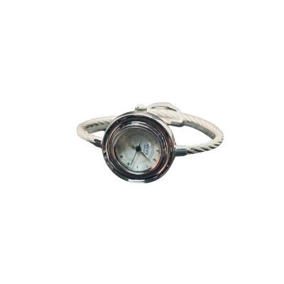 Titan Raga Silver Look Watch – Minimalist Twisted Wire Band #TitanWatch #RagaCollection #IndianDesign