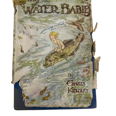 Vintage Book - The Water Babies by Charles Kingsley