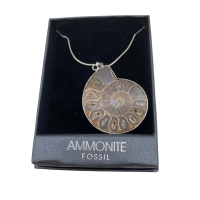 Polished Ammonite Fossil Pendant 