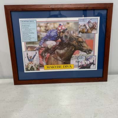 Framed Commerative Celebrating Makybe Diva Racehorse Signed By Glen Boss