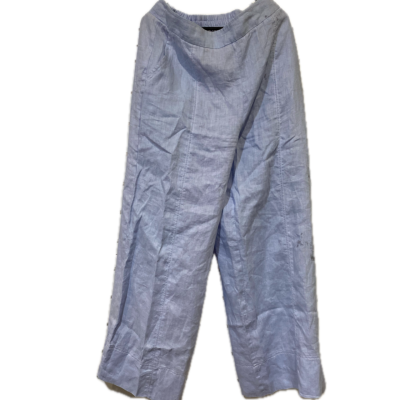 Zjoosh Womens  Size 10 Casual Pants Blue 