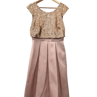 BNWT Preview Gold Pink Formal Dress 
