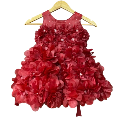 BNWT Queens Girls Size 3-4 Maroon Floral Dress 