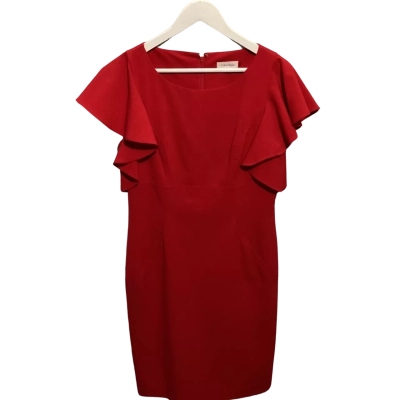 Calvin Klein woman’s red dress 8
