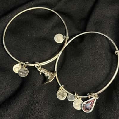 2x  Alex & Ani Silver Tone Charm Bracelet 