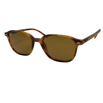 Ray-Ban Mens - Leonard 