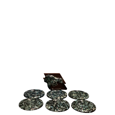 Pacific Paua Shell Coaster Set