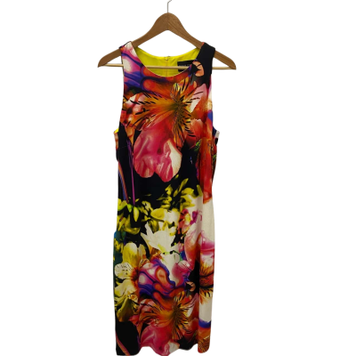 Frank Lyman Womens  Size 12 Sleeveless Dress  Multicoloured 