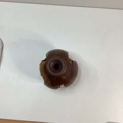 Hand crafted Furry Oak Vase