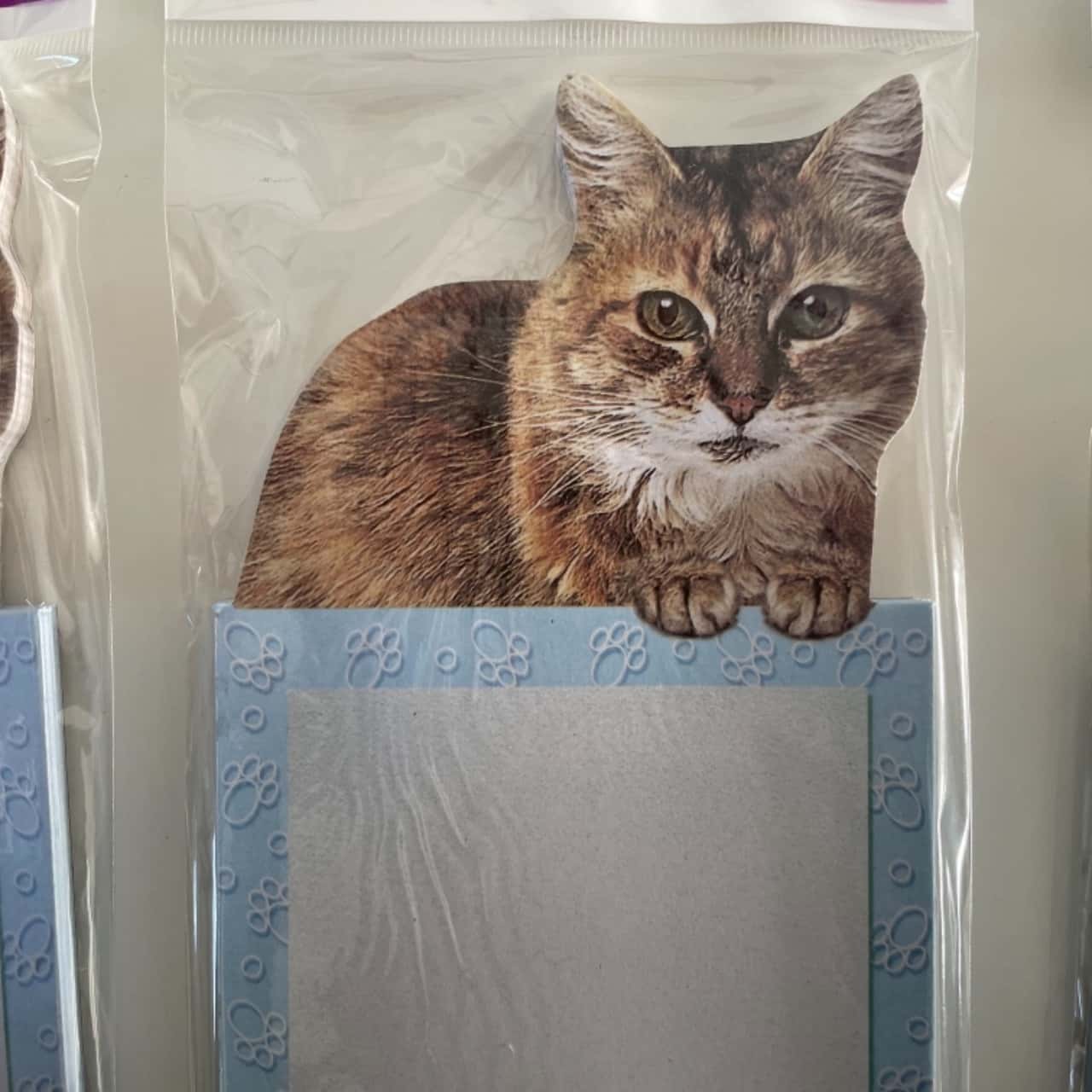 Pet Pads Novelty Notepads Cute Cat Kitten