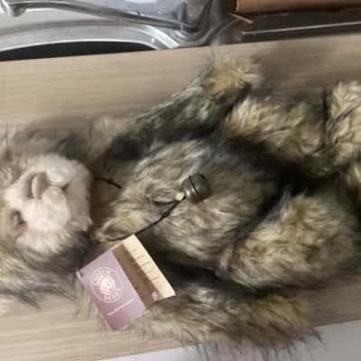 Charlie Bears “Grumpy” plush bear