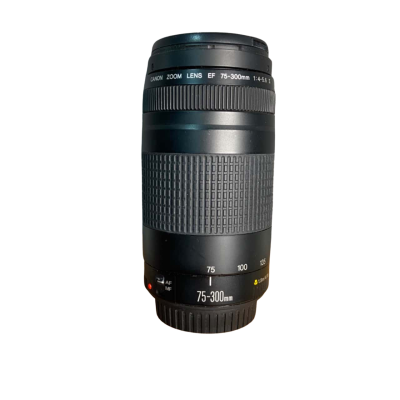 Canon EF 75-300mm telephoto zoom lens