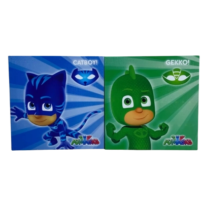 Pj Masks Catboy & Gekko Canvas’
