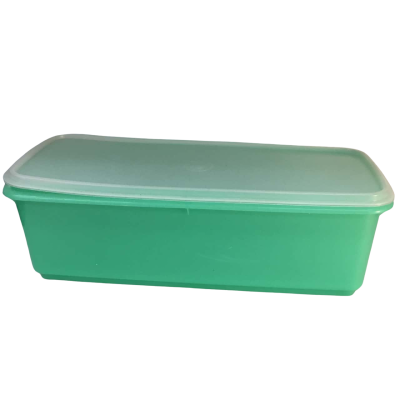 Vintage Green Celery / Vegetable Keeper