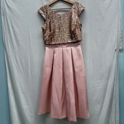 BNWT REVIEW Blush Save The Date Dress Size 10