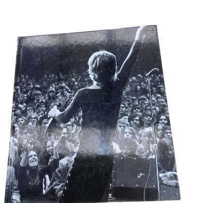 Book -Let it Bleed -The Rolling Stones ,Altamont and the End of the Sixties