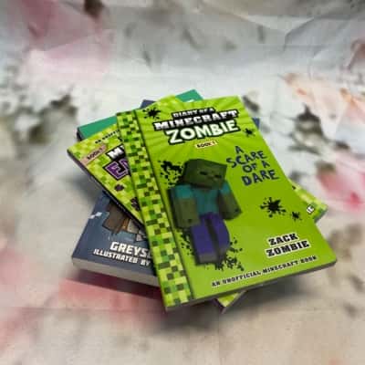 Minecraft Books x 6