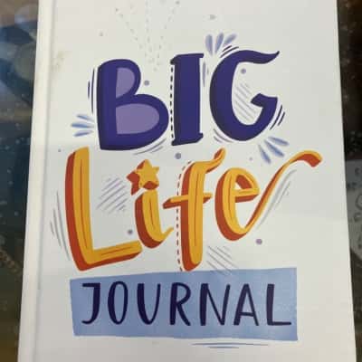 Big life journal for kids 