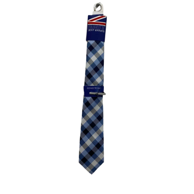 Jeff Banks Mens Tie + Tue Pin Blue / Checked RRP$35