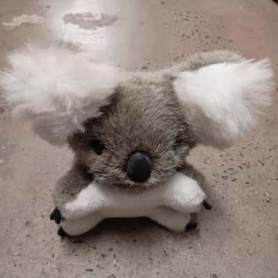 Vintage Koala Plush - Made in Australia