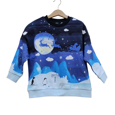 NEXT Kids Size 4 Blue Jumper (3)