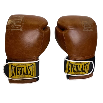 Everlast Boxing Gloves 