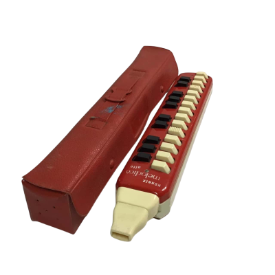 Rare Hohner Melodica Alto