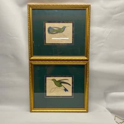 Pair Framed Bird Prints, Duke of Rivoli Hummingbird s