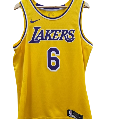 Lakers Mens Size L Jersey Purple / Yellow (11)