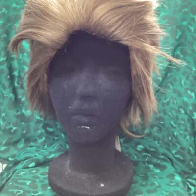 Kasouwig Shaggy Wig, Full Head